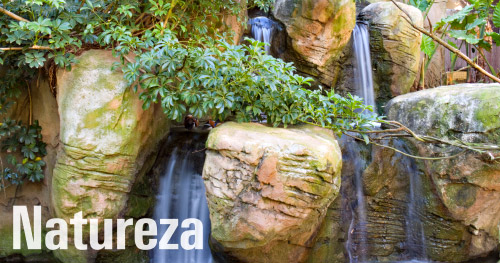 Banco de imagens de natureza para calendários de parede personalizados
